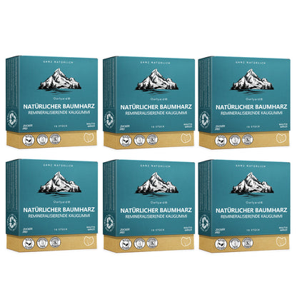 ✅ Hergestellt und versendet aus Deutschland | Ourlyard® Natürlicher Baumharz-Remineralisierungskaugummi – Zuckerfreier Xylit-Kaugummi mit Hydroxylapatit 🍀