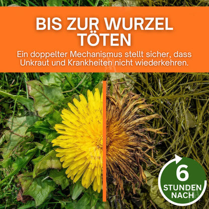 ⚡ Ergebnisse in wenigen Stunden sehen Ourlyard® 2-in-1 Max Leistung Herbizid